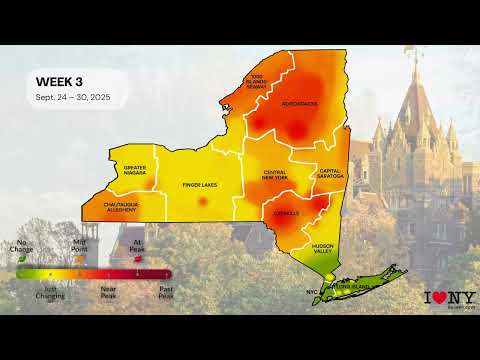 Fall Foliage Map 2024