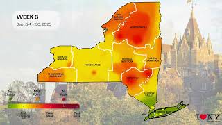 2025 New York State Fall Foliage Map Timelapse