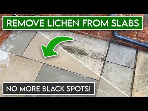 How to Remove Black Spots & Lichen from Sandstone Slabs | Easy Patio Cleaning