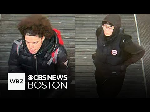 Family attacked in Saugus mall parking lot, police seek persons of interest