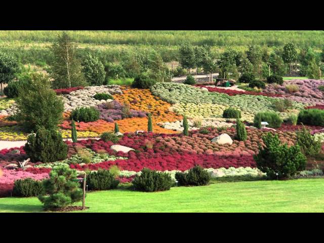 Reise-Video