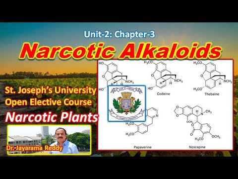 Narcotic | Alkaloids| Drugs| Opium| Heroin| Cannabis| LSD| Hashish| Morphine| Cocaine|Marijuana