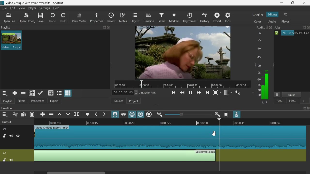 Voice-over and Editing Instructions