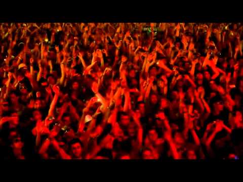 Avicii vs Tim Berg - The Levels You Seek (A. A. Reverse Vocal Mash Up Edit)