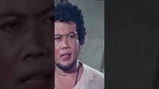 Download lagu Spesial Penggemar SONETA. . .  #storywa #shortvideo mp3