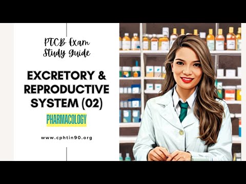 Top 200 Drugs Review: Excretory and Reproductive Systems (02)