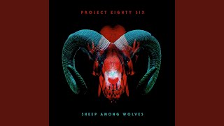 Sheep Among Wolves