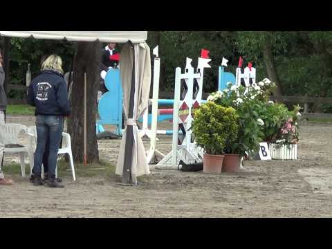 C.Calico  6jähriger Hengst von Calico x Quidams Rubin