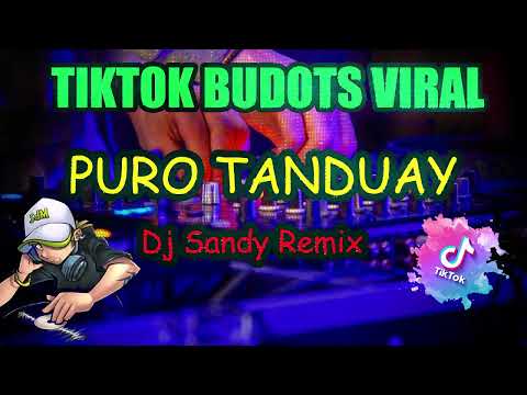 🎉 Puro Tanduay - TikTok Budots Remix ❤  Dj Sandy Remix🎶