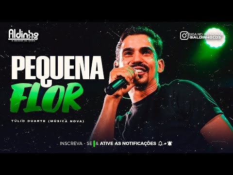 PEQUENA FLOR - Túlio Duarte (Música Nova)
