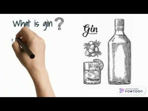 Everything about GIN IN 1 MINUTE | Easy To Understand | Revision | Compound Gin | Gin Head |