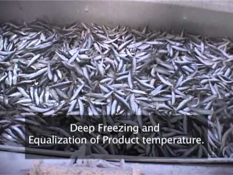 Frigoscandia FLoFREEZE® IQF Freezing Sardines