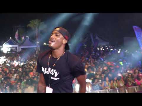 DJ GREG LIVE PERFORMANCE AT ALL DAY IN MUSIC FESTIVAL 2017