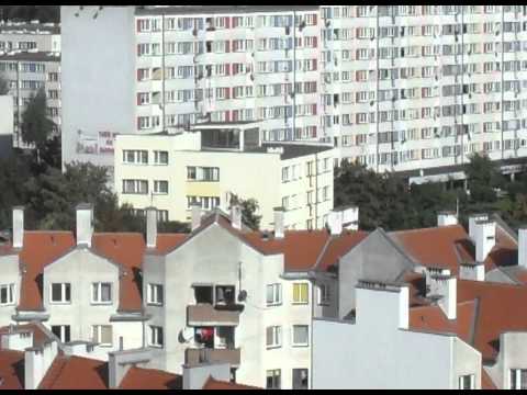 Paku - Z podwórek iść dalej