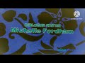 SpongeBob SquarePants End Credits In G Major