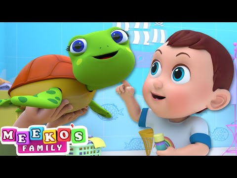 I Had A Little Turtle Song 🐢😻 | Meeko's Family Animals Song For Kids