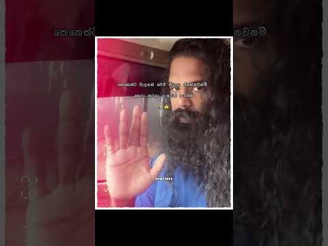 #love #vahicles #animalsong #drawing #catsong #cat #art #childrenssong #music #answer