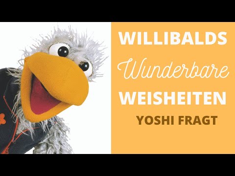 Willibalds wunderbare Weisheiten 8 - Yoshi fragt