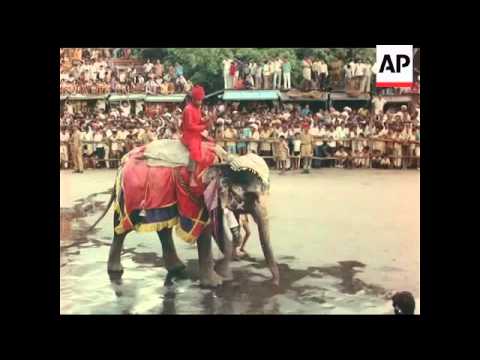 Old Gangaur Festival