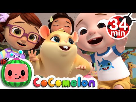 Class Pet Song + More Nursery Rhymes & Kids Songs - CoComelon