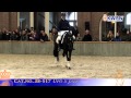 Desperado Wins 2011 KWPN Autumn Stallion ...