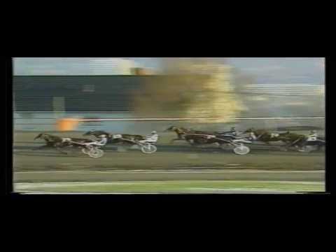 Sugarcane Hanover_Olympiatravet 1988