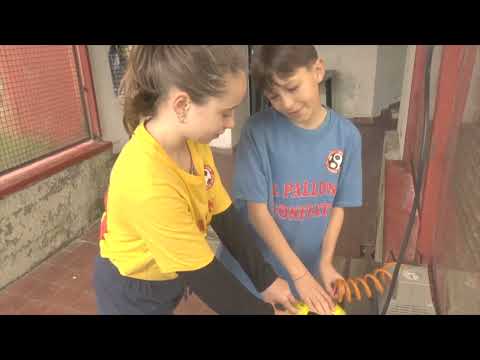 "Il pallone gonfiato" a One For Eleven - Cesari e Vaglini (6 giugno 2025)