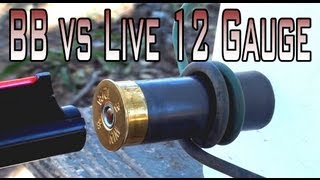 BB Fired at a Live 12 Gauge Shell