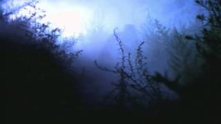 Killarmy-   Wake Up