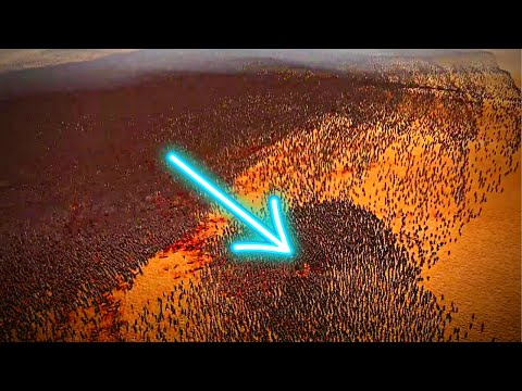 Can 10 John Wick`s Defeat 1 MILLION ZOMBIES?