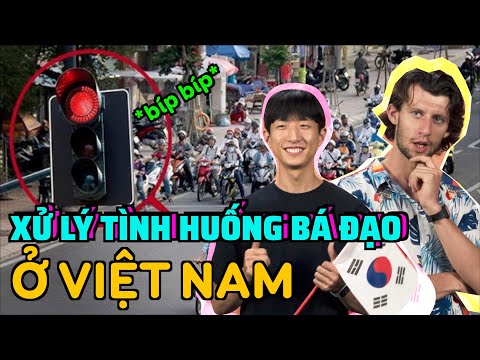 Làm gì khi người Việt bấm còi đòi vượt đèn đỏ | HÀNG XÓM TÂY