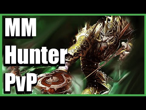 Over Geared Hunter DESTROYS Everyone! - MM Hunter PvP