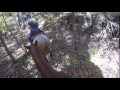 Horseback Poop Break