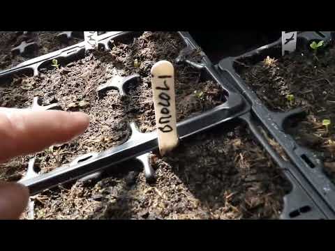 Saturday 30th April 2022.