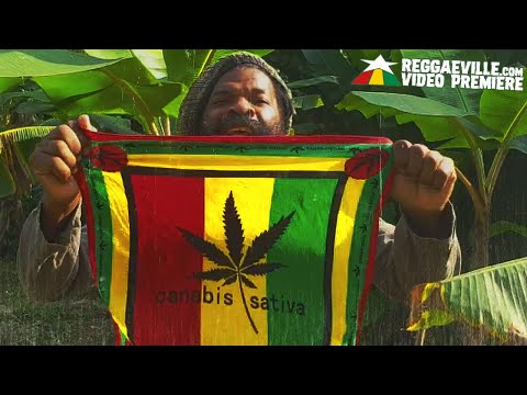 F.A.D.O. feat. Colah Colah - High State of Mind [Official Video 2021]