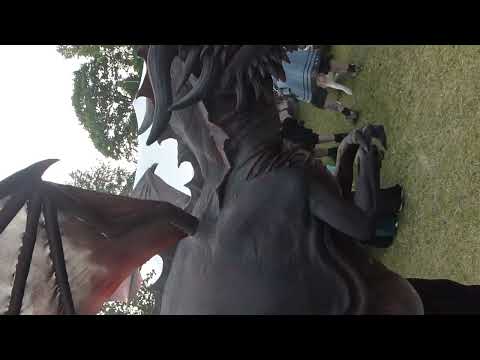 2025 05 31 MPS Rastede RaptorRex