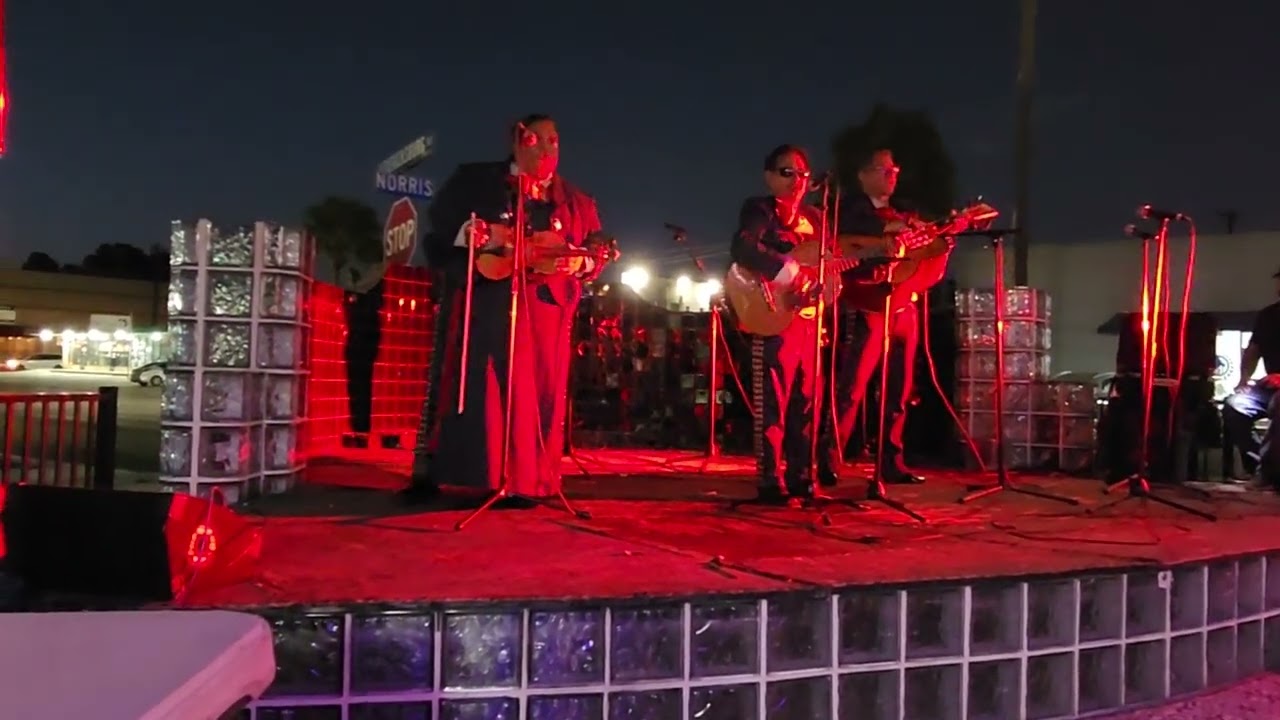 Promotional video thumbnail 2 for Mariachi Amador