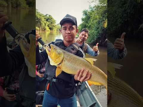 🚣VENDO RANCHO🎣 Rio Turvo Turvelândia/Goiás 20 km de estrada de terra boa Rio Turvo