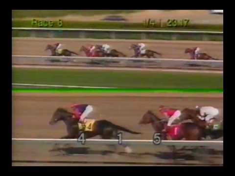 1994 Lady's Secret Handicap - Hollywood Wildcat