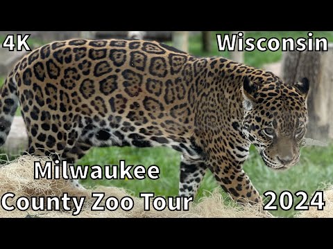 Milwaukee County Zoo Tour  [2024] - Milwaukee, Wisconsin - USA [4K]