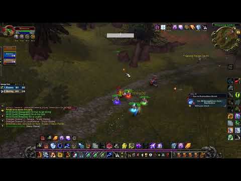 When the Windfury Procs 💥 Shaman One-Shot (WoW Classic PvP)