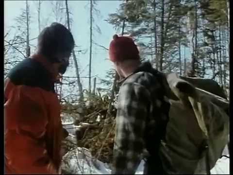 (21) La Collection COUSTEAU - Un Allié récalcitrant  Le Mississippi