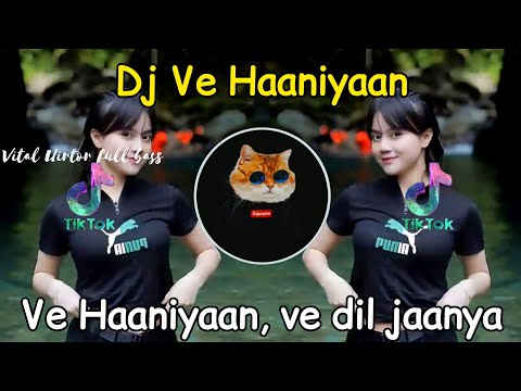 DJ VE HAANIYAAN - DJ INDIA VIRAL TIKTOK 2025