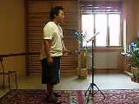 Enzo Tei lesson(Carmen1) 2007