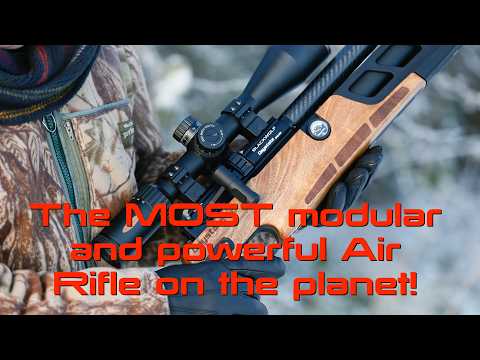 Is the Daystate Blackwolf the BEST modular airgun platform? WATCH and see why!