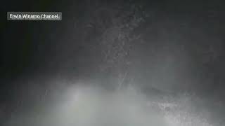 Download lagu Hasil rekaman terbaru melacak Harimau Jawa mp3 Download lagu Hasil rekaman terbaru melacak Harimau Jawa mp3