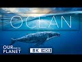 8k HDR Ocean Life