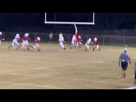 Another Touchdown 🦍🔥