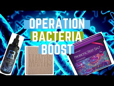 Operation Bacteria Boost - Episode 1