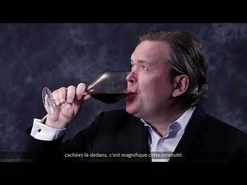 Dégustation du Banyuls Grand Cru - L'absolu Cuvée Prestige 2003